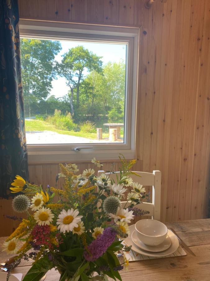 Kingfisher Cabin - Wild Escapes Wrenbury Off Grid Glamping - Ages 12 And Over Baddiley Экстерьер фото